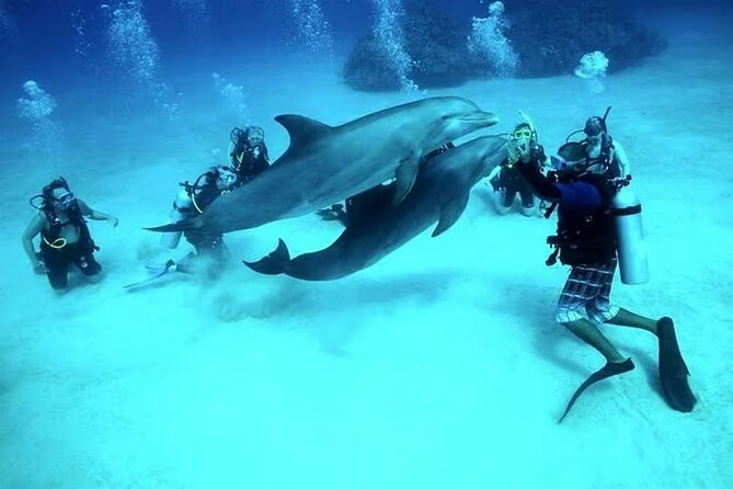 Scuba diving
